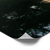 Celebration, Florida Poster (Hoek)