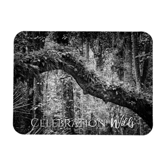 Celebration Wilds Magneet (Horizontaal)