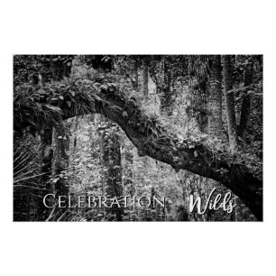 Celebration Wilds Perfect Poster
