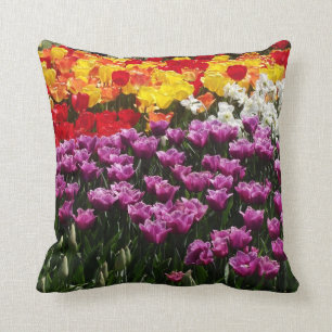 Célébrez le coussin de ressort