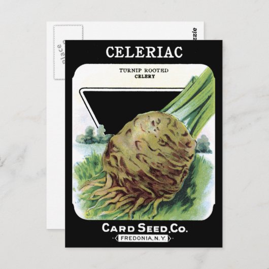 Celeriac Root Vegetable  Seed Packet Black Briefkaart (Voorkant / Achterkant)