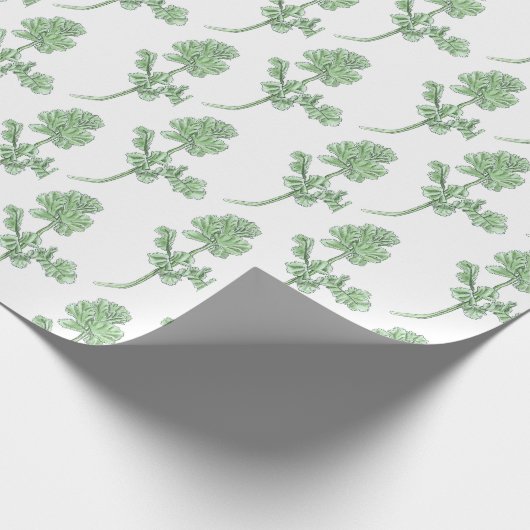 Celery Leaf Cadeaupapier (Hoek)