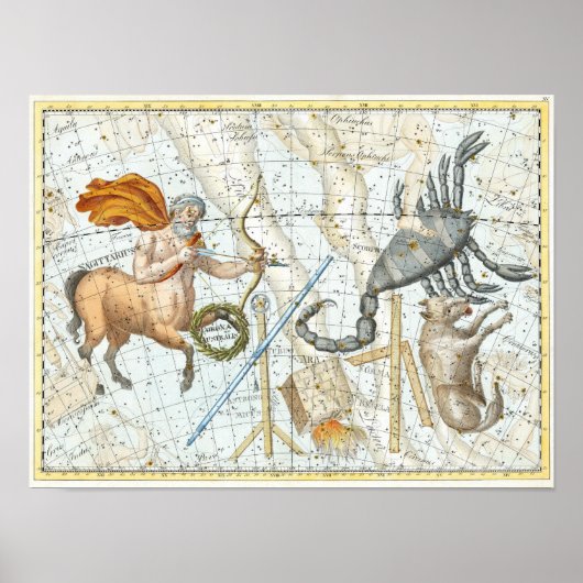 Celestial Constellations Map Poster (Voorkant)