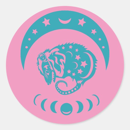 Celestial Crecent Moon Possum Whimsical Natuur Ronde Sticker (Voorkant)