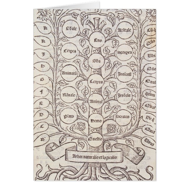 Celestial ladder (Voorkant)