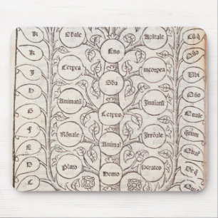 Celestial ladder muismat