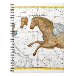 Celestial Map Pegasus Notitieboek