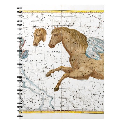 Celestial Map Pegasus Notitieboek (Voorkant)