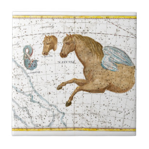 Celestial Map Pegasus Tegeltje