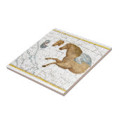 Celestial Map Pegasus Tegeltje (Zijkant)