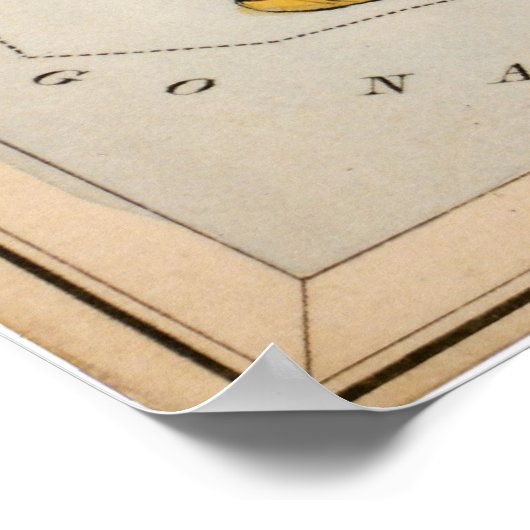 Celestial  Map Poster (Hoek)