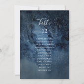 Celestial Sky | Silver Table Number Seating Chart (Voorkant)