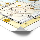  celestiale virgo- en baardconstellaties poster (Hoek)