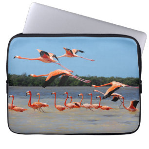 Celestun Biosphere Reserve Laptop Sleeve