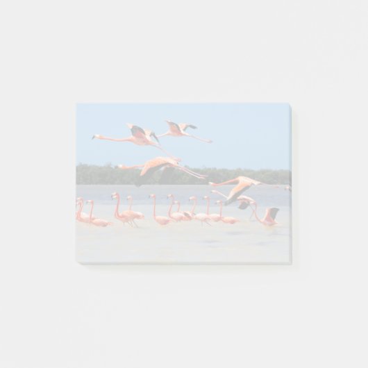Celestun Biosphere Reserve Post-it® Notes (Voorkant)