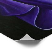 Celimene 2008 poster (Hoek)