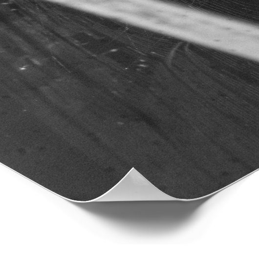 Cellar Spider Poster (Hoek)