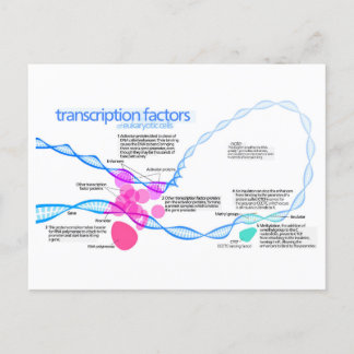 Cellen gentranscriptiefactoren diagram briefkaart