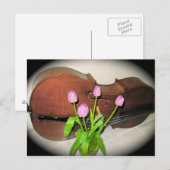 Cello avec carte postale Tulips (Devant / Derrière)