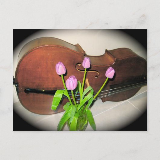 Cello avec carte postale Tulips (Devant)