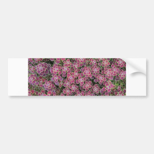cellulair bumpersticker (Voorkant)