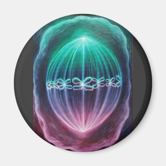 Cellulair divizion magneet (Voorkant)