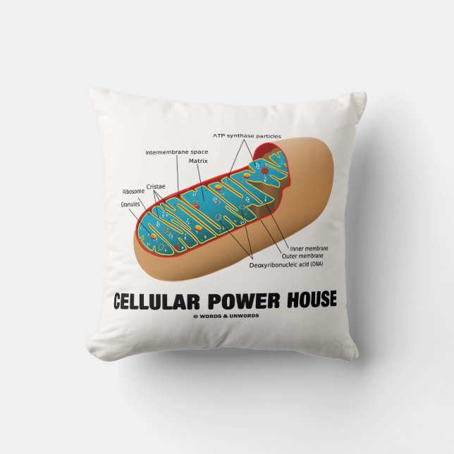 Cellular Power House Mitochondrion Kussen (Voorkant)