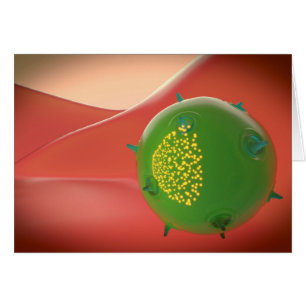 Cellule De Tueur Du Système Immunitaire Inné