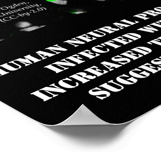 Cellules neuronales infectées avec Poster Zika par (Coin)