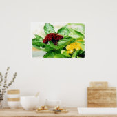 Celosia/Cockscomb Poster (Keuken)