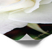 Céltic Blessing II, 14"x11" - Poster d'archives (Coin)