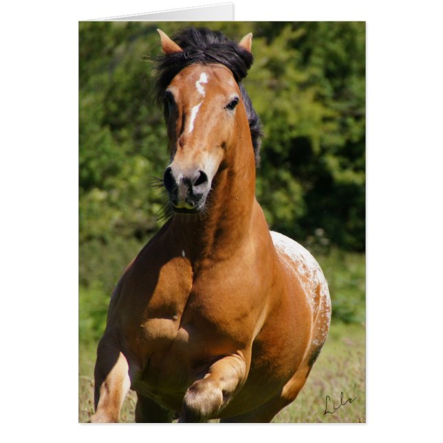 Celtic Flame-kaart (Voorkant)