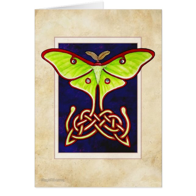 Celtic Lunar Moth (Voorkant)