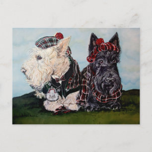 Celtic Scottish Terriers Briefkaart