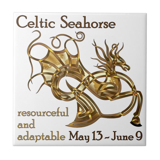 Celtic Seahorse Tegeltje (Voorkant)
