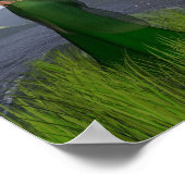 Celtische prinses in de bergen poster (Hoek)