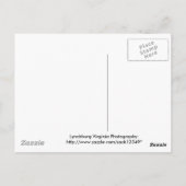 Cemetery Briefkaart (Achterkant)