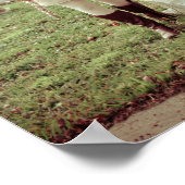 Cemetery Girl Poster (Hoek)