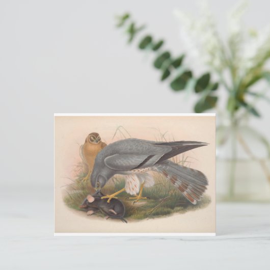 Cendres - Carte postale (Debout devant)