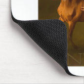 CENTAGE MUISMAT (Hoek)