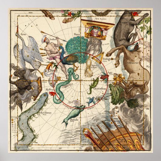 Centaurus, Indus, Chamaeleon, Eridanus, Lupulus Poster (Voorkant)