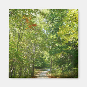 Centennial bebost pad I Ellicott City Natuur Magneet