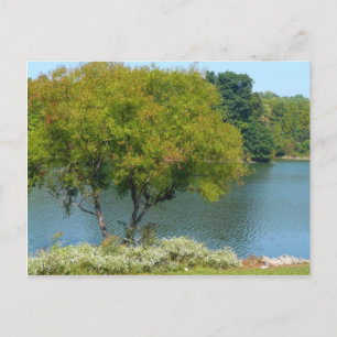 Centennial Lake in Ellicott City Maryland Briefkaart