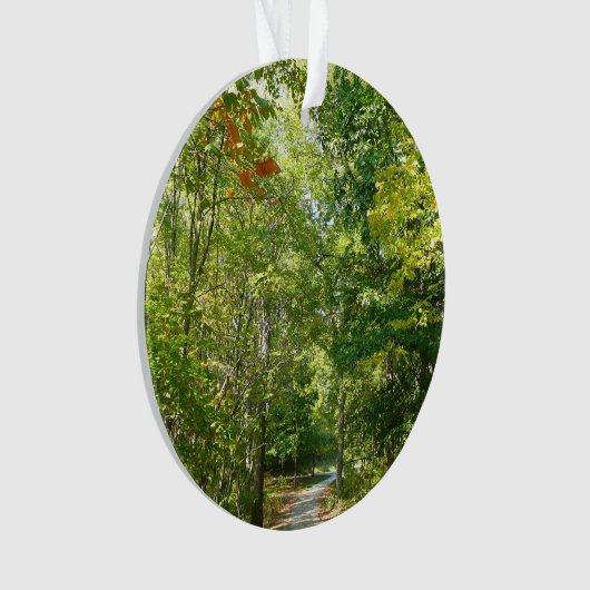 Centennial Wooded Path I Ellicott City Natuur Ornament (voorkant)