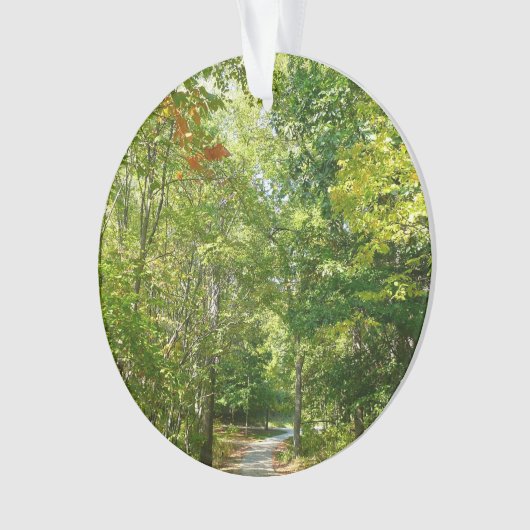 Centennial Wooded Path I Ellicott City Natuur Ornament (voorkant)