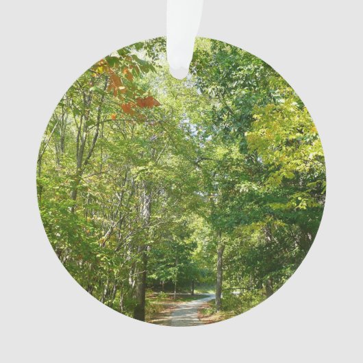 Centennial Wooded Path I Ellicott City Natuur Ornament (voorkant)