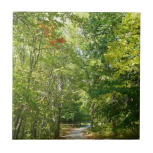 Centennial Wooded Path I Ellicott City Natuur Tegeltje