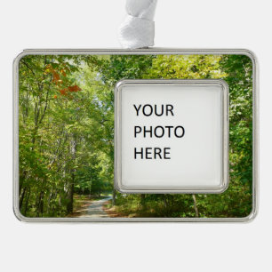 Centennial Wooded Path I Ellicott City Natuur Verzilverd Kader Ornament