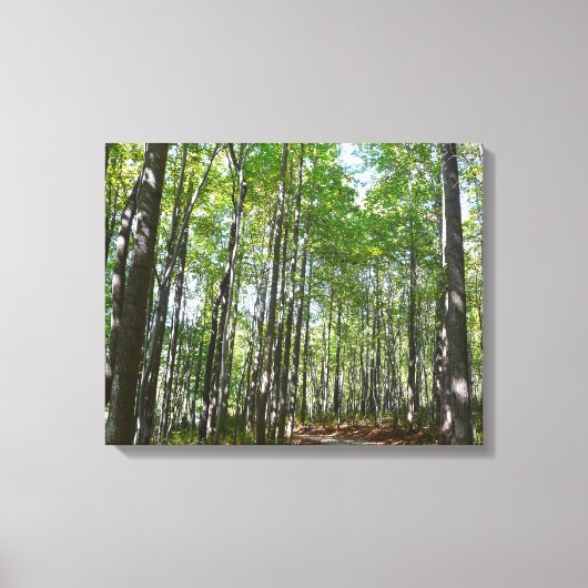 Centennial Wooded Path II Ellicott City Maryland Canvas Afdruk (Voorkant)