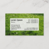 Center Étiquette v3 - Dandelion Meadow 01 (Dos)